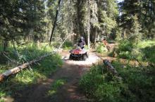 Island Park ATV Trails