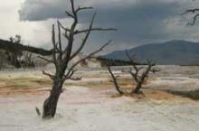 Yellowstone's Sureal Landscapes